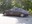 SL372892.JPG
