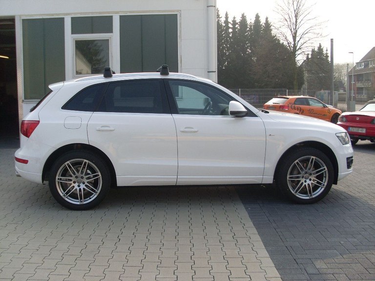 SL372396.JPG