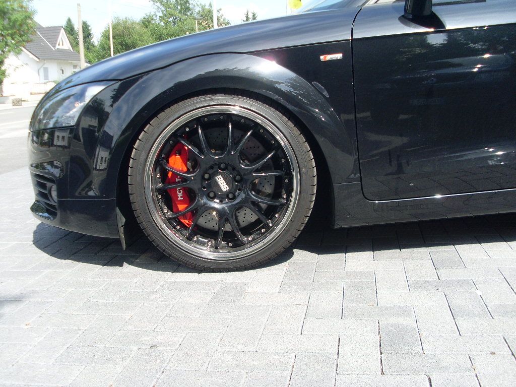 SL371072.JPG