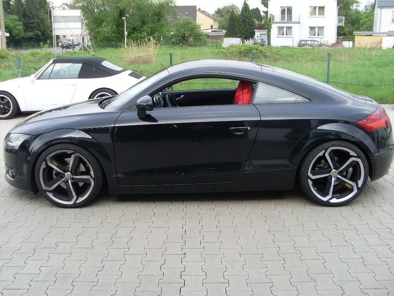 SL372534.JPG