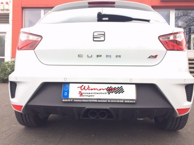 seat-leon-cupra-r-wimmer-auspuffanlage.JPG